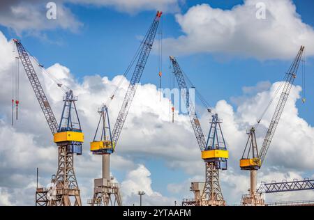 Gru portuali gialle-blu nel porto di Amburgo Foto Stock