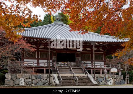 La sala Kannondo nell'area di Shimo Daigo del Tempio Daigoji di Kyoto in autunno con alberi di acero momiji in Giappone. Foto Stock