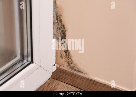 Problemi di ventilazione. Macchie di muffa tossica, batteri fungini sulla parete nell'angolo vicino alla finestra. Concetto di condensazione, umidità. Umidità elevata. Foto Stock