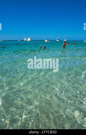 FRANCIA. HAUTE CORSE (2B) NEBBIO. REGIONE DI AGRIATES. SANTO PIETRO DI TENDA. VICINO ALLA FORESTA DI PINI, LA SPIAGGIA DI SALECCIA Foto Stock