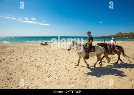 FRANCIA. HAUTE-CORSE (2B) DESERTO DI AGRIATES. EQUITAZIONE CON L'ARBO VALLEY EQUESTRIAN CLUB VICINO ALLA SPIAGGIA DI OSTRICONI. Foto Stock