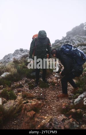 Natura, escursioni e persone in montagna con il cane, vacanze avventurose e passeggiate mattutine insieme. Trekking, amici escursionisti e animali domestici in viaggio all'aperto Foto Stock