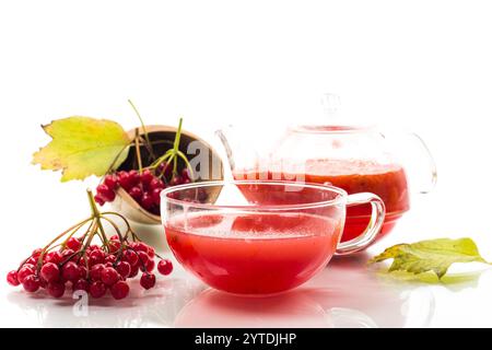 tè da viburno rosso maturo isolato su fondo bianco . Foto Stock