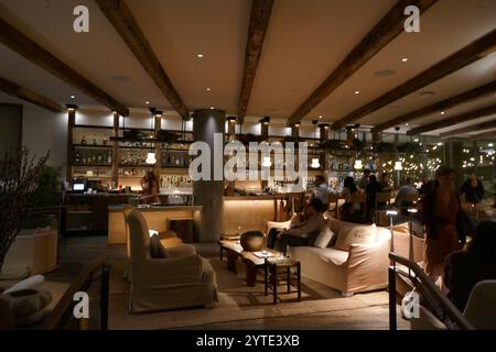 West Hollywood, California, USA 6 dicembre 2024 il guanaco Foundation Annual Hollywood Gala al 1 Hotel West Hollywood il 6 dicembre 2024 a West Hollywood, California, USA. Foto di Barry King/Alamy Live News Foto Stock