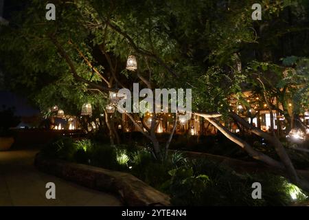 West Hollywood, California, USA 6 dicembre 2024 il guanaco Foundation Annual Hollywood Gala al 1 Hotel West Hollywood il 6 dicembre 2024 a West Hollywood, California, USA. Foto di Barry King/Alamy Live News Foto Stock