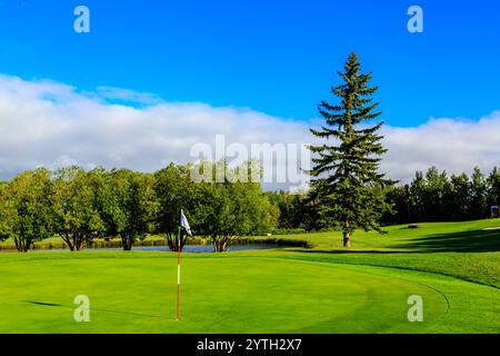 Un campo da golf con campo erboso verde e una bandiera a terra. La bandiera è su un tee e la palla da golf è in aria. Il cielo è limpido e blu, AN Foto Stock