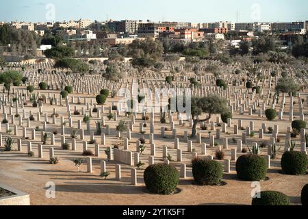 Una vista solenne del Cimitero di guerra di El Alamein, con lapidi ben allineate circondate da piante e alberi del deserto, che commemorano la soldia britannica della seconda guerra mondiale Foto Stock