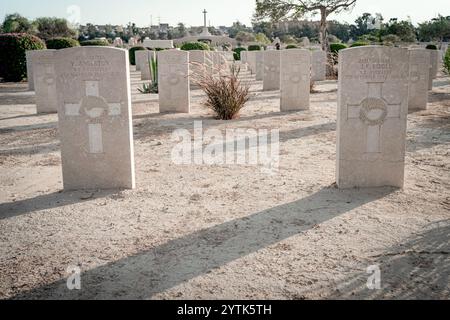 Una vista dettagliata delle tombe del cimitero di guerra di El Alamein in Egitto, che mostra lapidi di soldati neozelandesi sotto il sole luminoso. Foto Stock