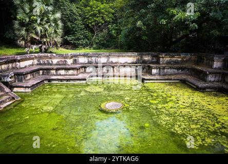 L'antica Kumara Pokuna, un bagno reale del regno medievale di Polonnaruwa nello Sri Lanka, sorge in mezzo a una vegetazione lussureggiante. Foto Stock