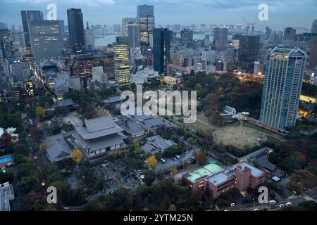 ARK Hills visto dalla Tokyo Tower di sera. Tokyo. Giappone. Vista serale della torre Mori di Holland Hills al centro dei grattacieli di ARK Hills, come si vede Foto Stock