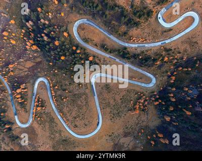 Veduta aerea della strada riccia attraverso la foresta autunnale. Foto Stock