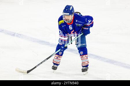 Kloten, Svizzera, 24 novembre 2024: #6 Vito Thoma, difensore EHC Kloten U20-Elit Team. (Foto di Andreas Haas/dieBildmanufaktur) Foto Stock