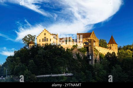 Neuhausen am Rheinfall, Svizzera, 8 luglio 2024: Veduta del castello di Laufen alle cascate del Reno, che si erge al sole della sera. (Foto di Andreas Haas/d Foto Stock