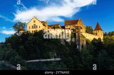 Neuhausen am Rheinfall, Svizzera, 8 luglio 2024: Veduta del castello di Laufen alle cascate del Reno, che si erge al sole della sera. (Foto di Andreas Haas/d Foto Stock