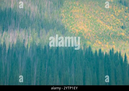 I colori astratti dell'autunno si riflettono al largo dell'acqua alimentata dal ghiacciaio del lago Emerald presso il parco nazionale di Yoho nella Columbia Britannica Foto Stock