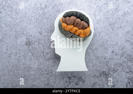 Silhouette della testa con toni terrosi su sfondo grigio, vista dall'alto. Disturbi mentali, eco-ansia. Foto Stock