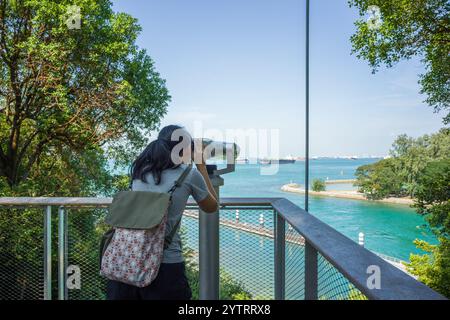 Parco marino delle Isole sorelle, Singapore. Piscina e spiaggia con maree lagunari che fungono da habitat corallino e sito di ricerca. Foto Stock