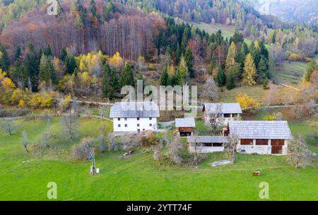 Scenario con droni di case coloniche slovene tradizionali annidate nei boschi autunnali Foto Stock