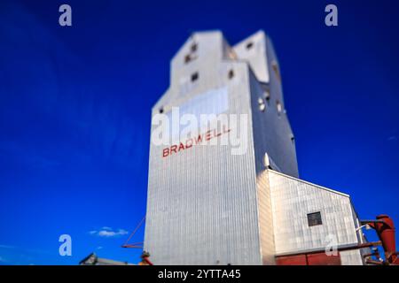 Un grande silo di grano con sopra il nome Bradwell. L'edificio e' alto e ha un tetto rosso. Il cielo è blu e limpido Foto Stock