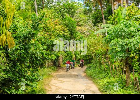 Tre persone in moto lungo una strada sterrata in una giungla. La strada è stretta e tortuosa, e gli alberi sono lussureggianti e verdi. La scena è avventurosa A. Foto Stock