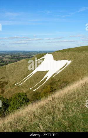 Il Westbury White Horse sulla scarpata settentrionale di Salisbury Plain è il più antico degli otto cavalli bianchi del Wiltshire, Regno Unito Foto Stock