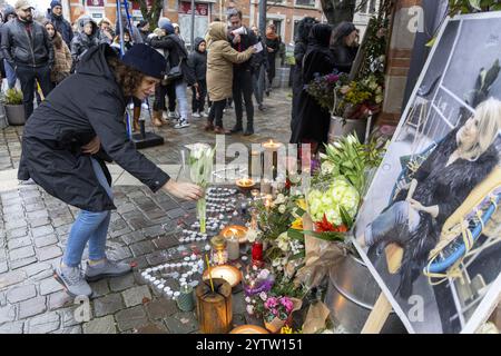 Bruxelles, Belgio. 8 dicembre 2024. Questa foto è scattata durante una marcia silenziosa in omaggio a Diana, vittima del femminicidio Schaerbeek del 3 dicembre, a Bruxelles, domenica 08 dicembre 2024. BELGA FOTO NICOLAS MAETERLINCK credito: Belga News Agency/Alamy Live News Foto Stock