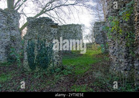 Rovine di South Elmham Minster, Suffolk, Regno Unito Foto Stock