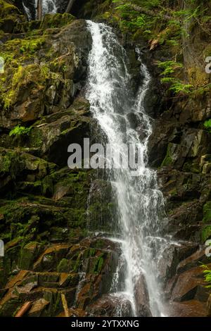 White Water si schianta lungo le Ranger Falls nel Mount Rainier National Park Foto Stock