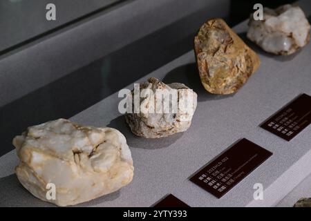 (241208) -- CHIZHOU, 8 dicembre 2024 (Xinhua) -- questa foto scattata il 6 dicembre 2024 mostra manufatti in pietra esposti nella sala espositiva del sito di Hualongdong nella contea di Dongzhi della città di Chizhou, nella provincia di Anhui della Cina orientale. Gli scienziati cinesi hanno scoperto dozzine di fossili umani risalenti a 300.000 anni fa, che sono i primi trovati in Asia orientale in termini di processo di evoluzione verso l'Homo sapiens, la specie a cui appartengono tutti gli esseri umani moderni. I fossili umani, insieme a un gran numero di ossa animali fossilizzate e strumenti di pietra, sono stati rinvenuti nel sito di Hualongdong in D. Foto Stock