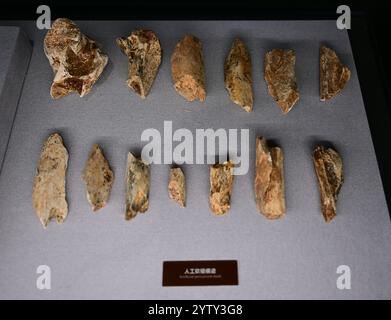 (241208) -- CHIZHOU, 8 dicembre 2024 (Xinhua) -- questa foto scattata il 6 dicembre 2024 mostra frammenti di ossa con prove di taglio e taglio artificiale esposti nella sala espositiva del sito Hualongdong nella contea di Dongzhi della città di Chizhou, nella provincia di Anhui della Cina orientale. Gli scienziati cinesi hanno scoperto dozzine di fossili umani risalenti a 300.000 anni fa, che sono i primi trovati in Asia orientale in termini di processo di evoluzione verso l'Homo sapiens, la specie a cui appartengono tutti gli esseri umani moderni. I fossili umani, insieme a un gran numero di ossa animali fossilizzate e strumenti di pietra, Foto Stock