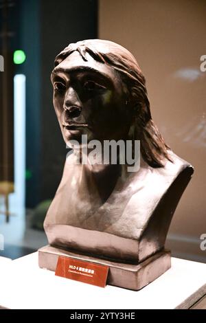 (241208) -- CHIZHOU, 8 dicembre 2024 (Xinhua) -- questa foto scattata il 6 dicembre 2024 mostra una ricostruzione craniofacciale in mostra nella sala espositiva del sito di Hualongdong nella contea di Dongzhi della città di Chizhou, nella provincia di Anhui della Cina orientale. Gli scienziati cinesi hanno scoperto dozzine di fossili umani risalenti a 300.000 anni fa, che sono i primi trovati in Asia orientale in termini di processo di evoluzione verso l'Homo sapiens, la specie a cui appartengono tutti gli esseri umani moderni. I fossili umani, insieme a un gran numero di ossa animali fossilizzate e strumenti di pietra, sono stati rinvenuti presso l'Hual Foto Stock