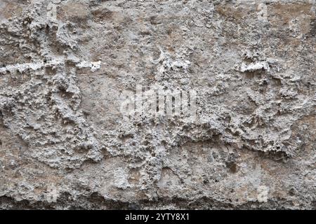 Vista ravvicinata di una struttura rocciosa con numerosi fori Foto Stock