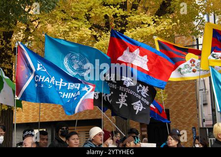 Tokyo, Giappone. 8 dicembre 2024. Circa 200 partecipanti marciano durante una manifestazione contro la violazione dei diritti umani da parte del governo della loro madrelingua per la prossima giornata dei diritti umani ad Asakusa, Tokyo, Giappone, domenica 8 dicembre 2024. Hong Kong, tibetani, uiguri, cambogiani, Ucraina e altri partecipano a questo evento. Foto di Keizo Mori/UPI credito: UPI/Alamy Live News Foto Stock