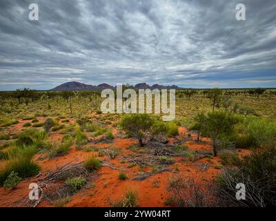 Una fotografia grandangolare per iPhone che cattura la desolazione dell'Outback australiano Foto Stock