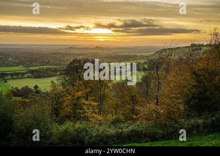 splendido panorama all'alba sulla campagna del wiltshire con prati, campi e alberi Foto Stock