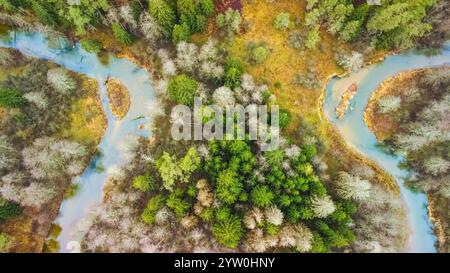 Scarpata ripida e anelli del fiume Ula, forma del cuore, dall'alto, all'inizio dell'inverno, vicino al villaggio di Ziurai, Lituania. Parco nazionale di Dzukija Foto Stock