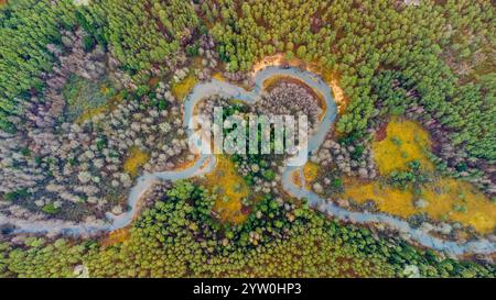 Scarpata ripida e anelli del fiume Ula, forma del cuore, dall'alto, all'inizio dell'inverno, vicino al villaggio di Ziurai, Lituania. Parco nazionale di Dzukija Foto Stock