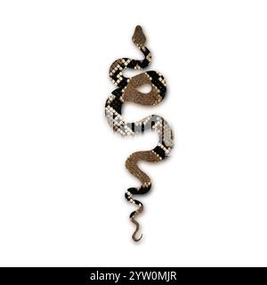 Serpente per tatuaggi. Illustrazione isolata. Inchiostro tradizionale tatuaggio Old School. Illustrazione della silhouette del serpente. Foto Stock
