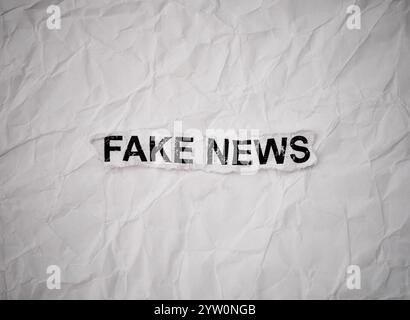 Pezzo di carta sgualcito con parole false News su sfondo di carta sgualcito. Foto Stock