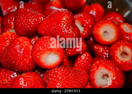 Un mucchio di fragole rosse che hanno gli steli tagliati Foto Stock