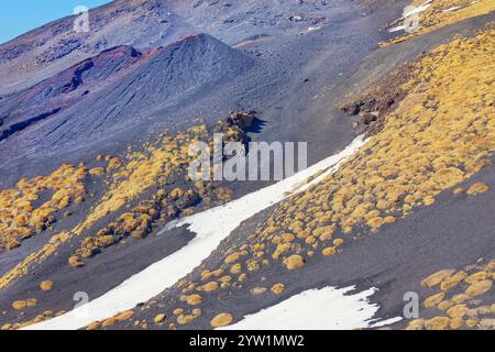 Paesaggio vulcanico, Valle del Bove, Etna, Sicilia, Italia Foto Stock