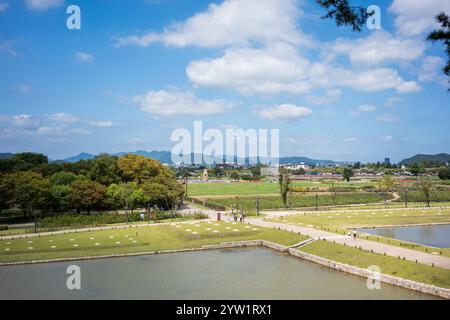 Complesso della Tomba di Daereungwon in un paesaggio verdeggiante a Gyeongju, Corea del Sud Foto Stock