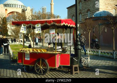 Sultan Ahmed, Istanbul, Turchia - 30 novembre 2024: Un giovane ragazzo vende mais dolce bollito in un chiosco vicino alla Moschea di Santa Sofia Foto Stock