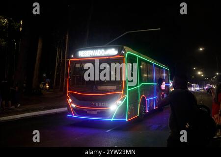 La gente ammira l'albero di Natale Ibirapuera a San Paolo, Brasile, l'8 dicembre 2024. La struttura in acciaio dell'albero ha un diametro di 18,5 metri e pesa 17 tonnellate, il simbolo si trova nel parco Ibirapuera, nella parte meridionale della città, e il suo tema è "Ibira Christmas - Nature Celebrates in Dream Park". (Foto: Faga/Sipa USA) credito: SIPA USA/Alamy Live News Foto Stock