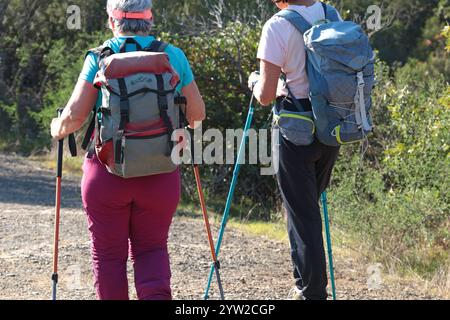 Sestri Levante, Italia - 10 novembre 2024. Escursioni in montagna. Donne in abiti e scarpe sportivi, con zaini, nordic walking sul sentiero. Foto Stock