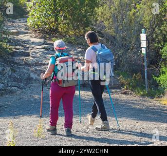 Sestri Levante, Italia - 10 novembre 2024. Escursioni in montagna. Donne in abiti e scarpe sportivi, con zaini, nordic walking sul sentiero. Foto Stock