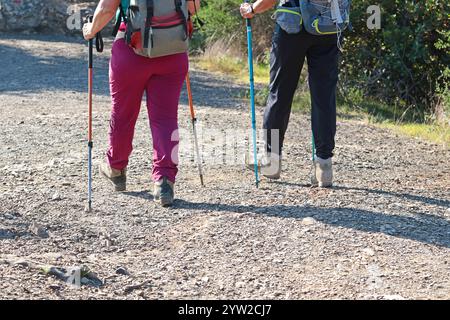 Sestri Levante, Italia - 10 novembre 2024. Escursioni in montagna. Donne in abiti e scarpe sportivi, con zaini, nordic walking sul sentiero. Foto Stock