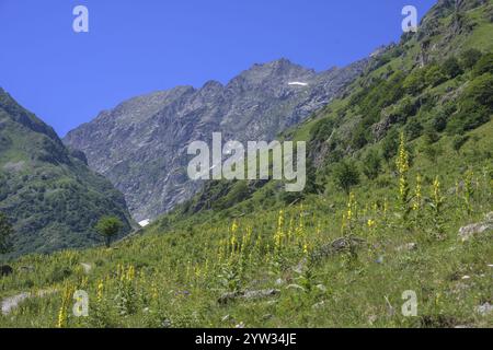 Rifugio Soria Ellena Entracque, provincia di Cuneo, Italia, Europa Foto Stock