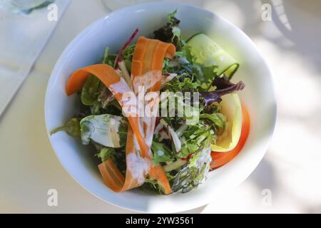 Ristorante Schloss Haigerloch, piccola insalata, contorno fresco, vegetariano, sano, carote, cetrioli, insalata mista servita in una ciotola, cibo, Haigerloch, Z Foto Stock