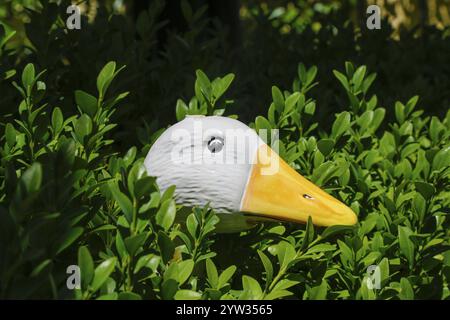 Garden Hotel and Restaurant Schloss Haigerloch, artigianato, piccola scultura, replica, oca, ornamento da giardino, accessorio, Haigerloch, Zollernalbkrei Foto Stock